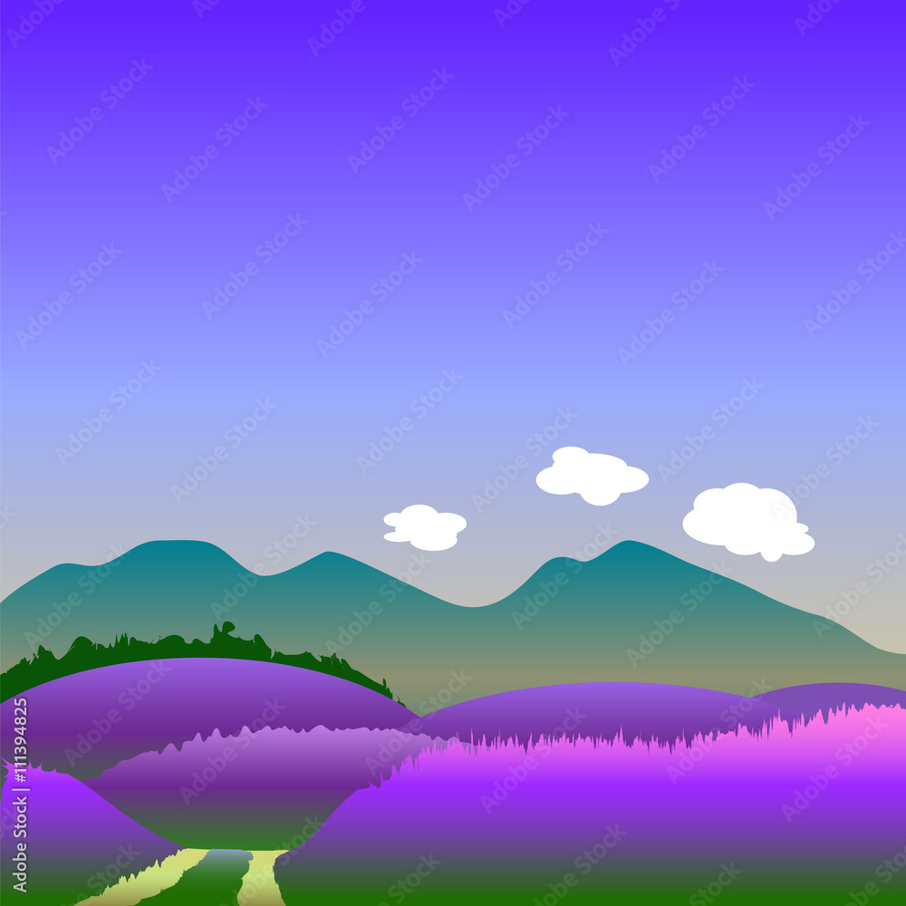 Lavender hills in summer vector illustration