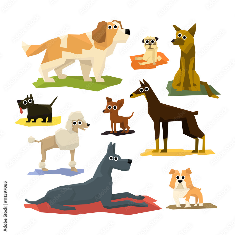 Different Dog Breeds Collection Different Dog Breeds Collection