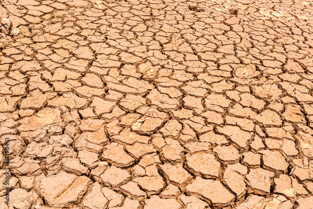 Cracked dry land without water Cracked dry land without water