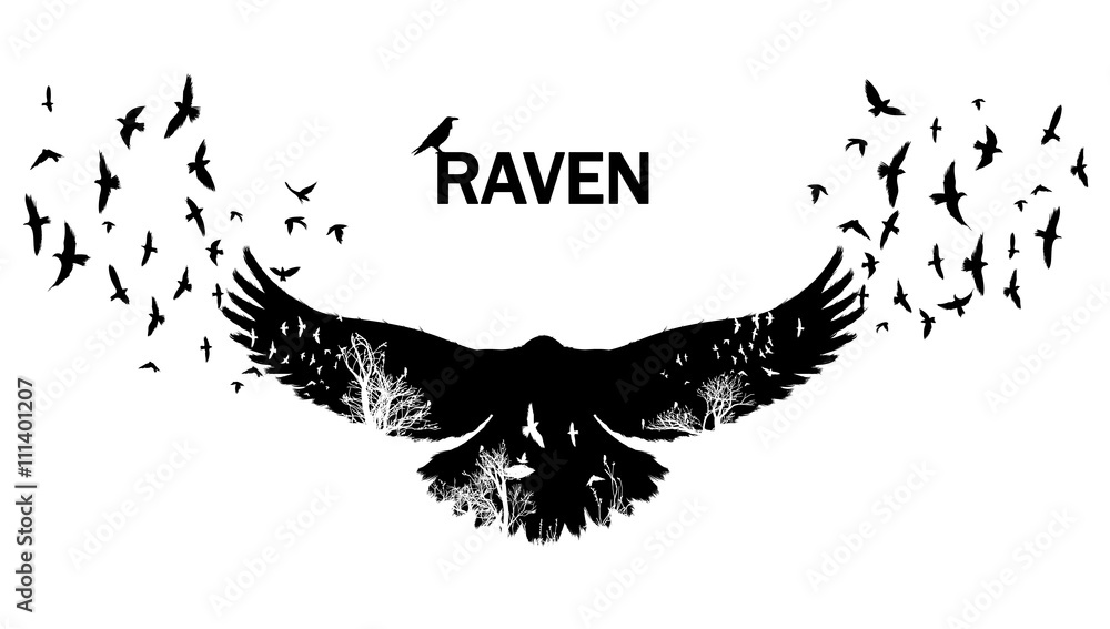 Flying raven double exposure. - obrazy, fototapety, plakaty 