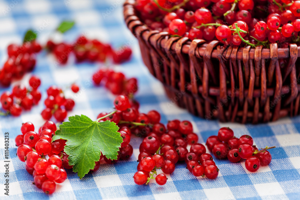 Redcurrant in wicker bowl on the table Redcurrant in wicker bowl on the table