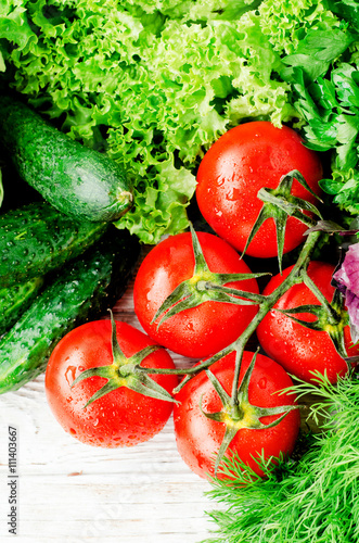 
Fresh juicy ripe summer useful vegetables and greens, red tomatoes , cucumbers , cabbage , lettuce , basil , parsley , dill and salt and spices on a wooden background