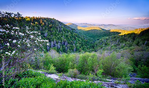 Photos Springtime at Scenic Blue Ridge Parkway Appalachians Smoky Mount