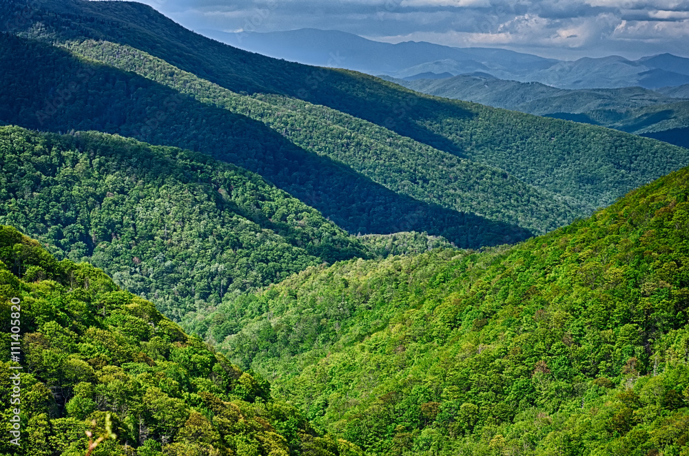 Fototapeta premium springtime in the blue ridge mountains