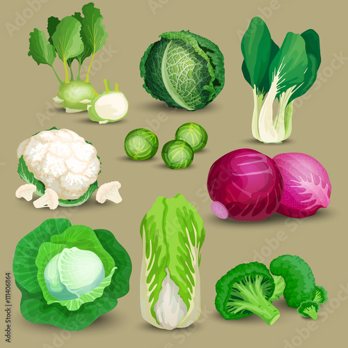 Vegetable set with cabbages