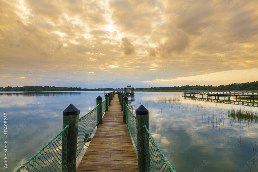 Fototapeta premium South Carolina Lowcountry