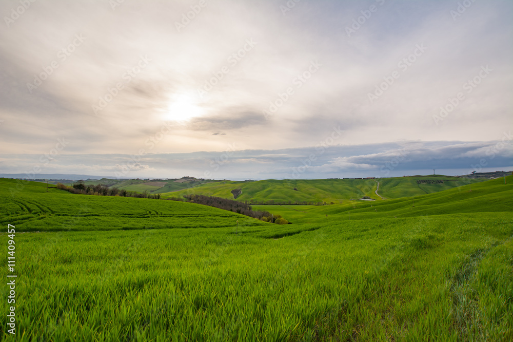 Obraz premium Cloudy day in Tuscany