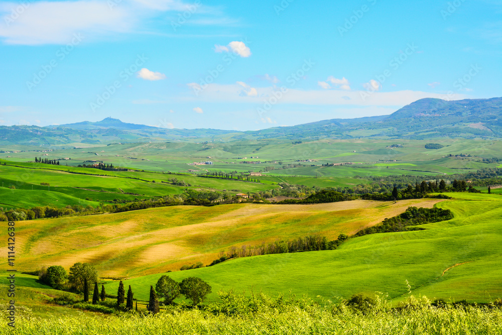 An idyllic tuscan hills from a viewpoint near Asciano, Siena