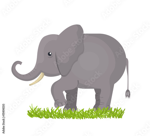 elephant isolated design 
