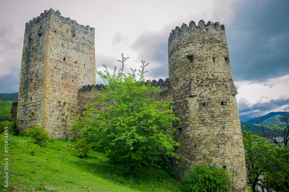 Medieval Fortress Medieval Fortress