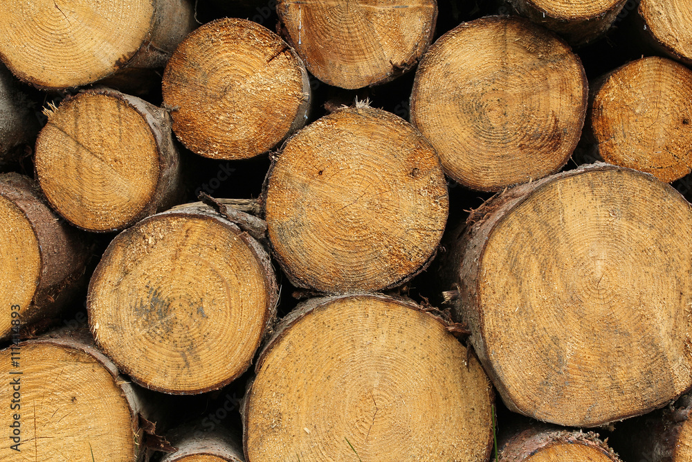 wood logs background