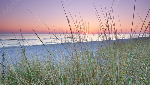Dünengras am Ostseestrand, Sonnenaufgang am Meer