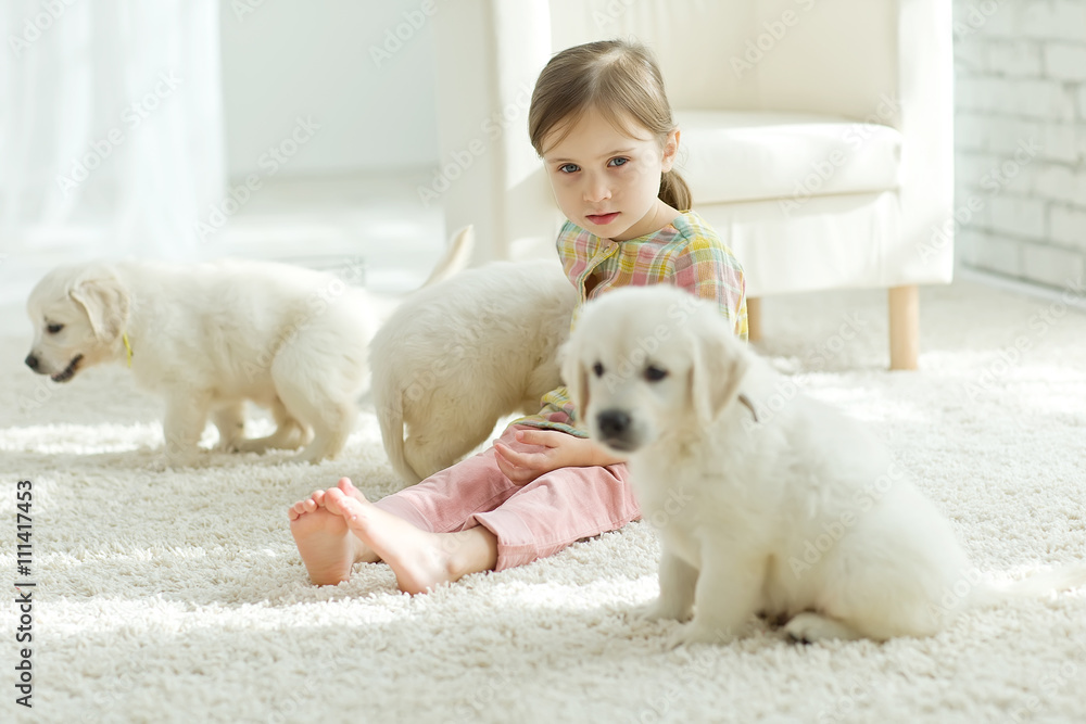 Kid with puppies at home Kid with puppies at home