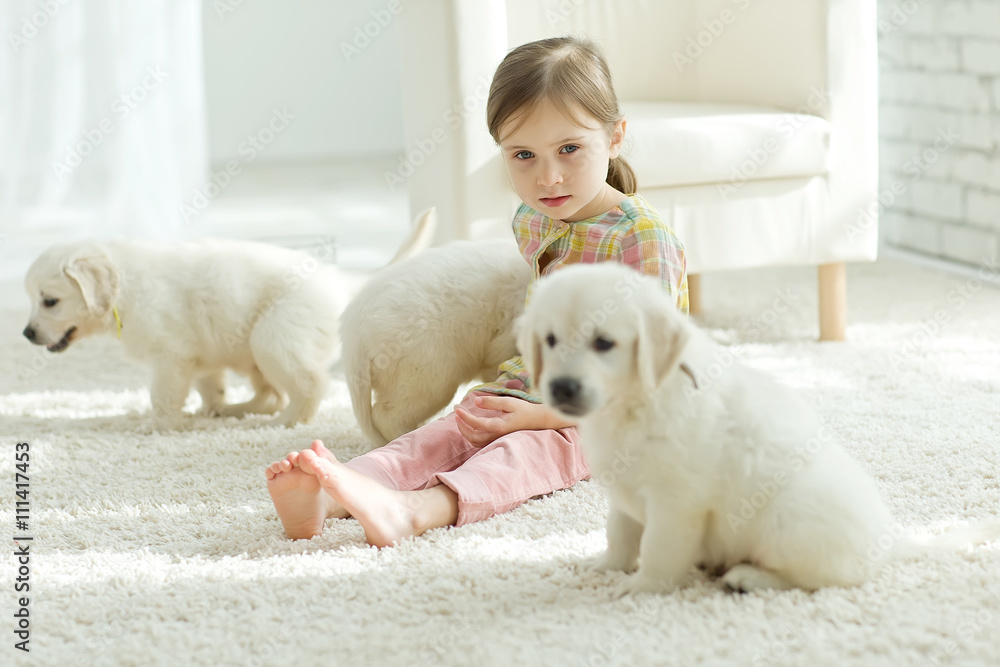 Kid with puppies at home