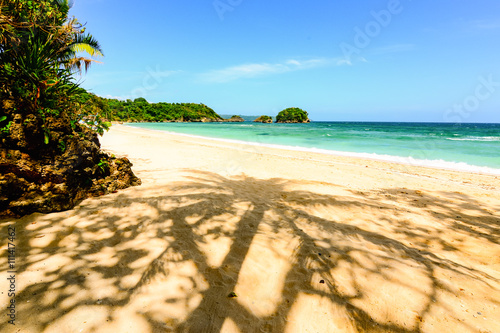 Palm tree shadow on a beach in Boaracy  Philippines