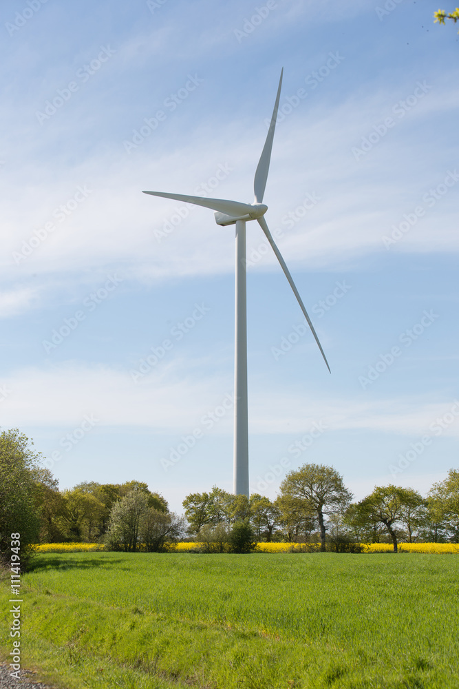 Obraz premium wind turbine in colza field
