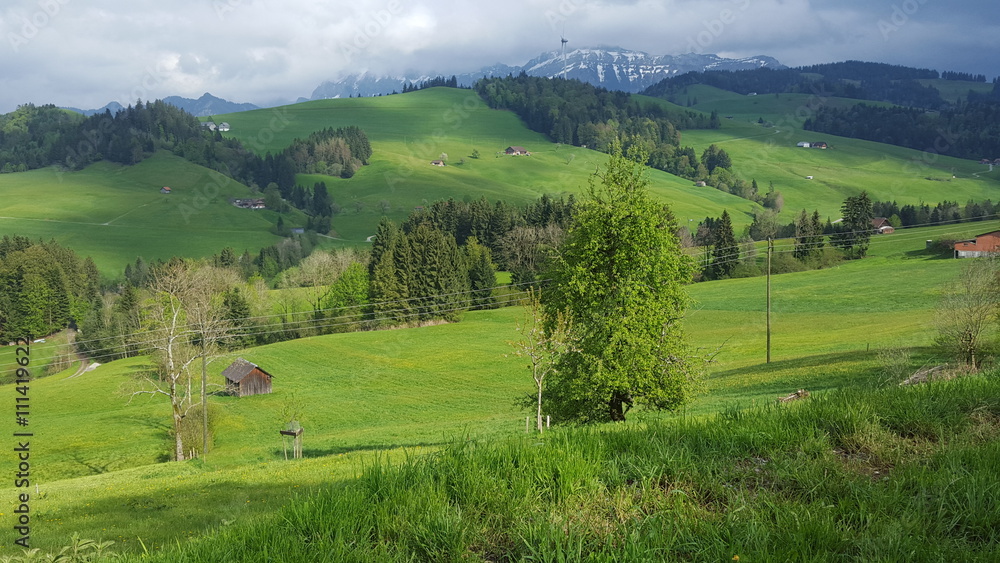Greenery of Switzerland