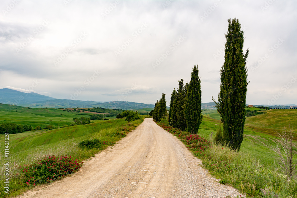 Panoramic view of a dirt road in Val d'Orcia, Tuscany
