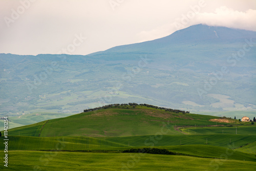 Panoramic view of scenic Tuscany landscape in Val d'Orcia