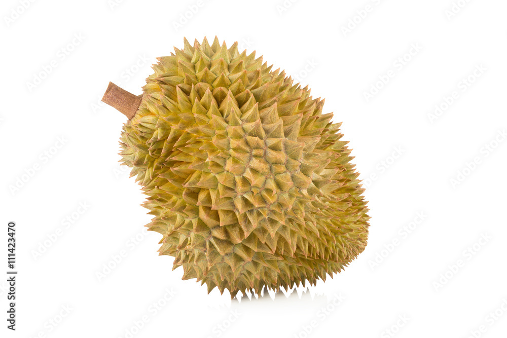 durian isolated on white background durian isolated on white background