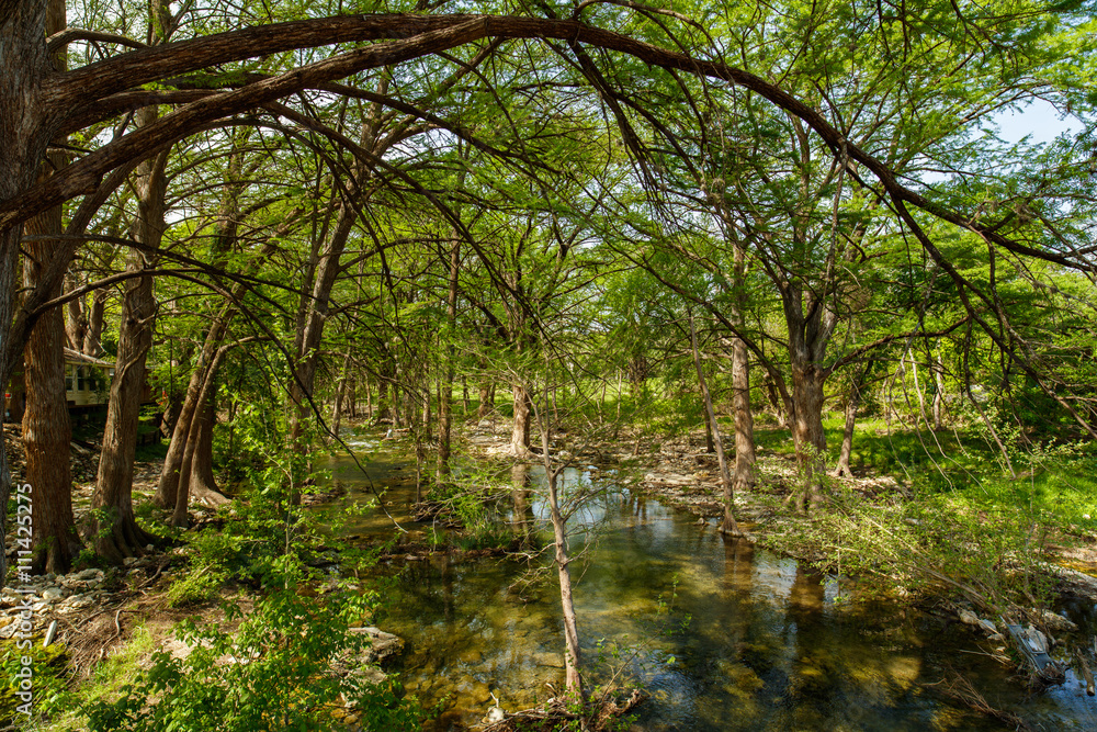 Fototapeta premium Texas Hill Country
