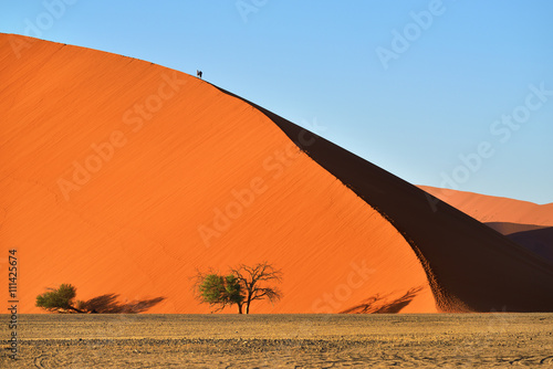 Fototapeta Naklejka Na Ścianę i Meble -  SOSSUSVLEI, NAMIBIA, DUNE 45