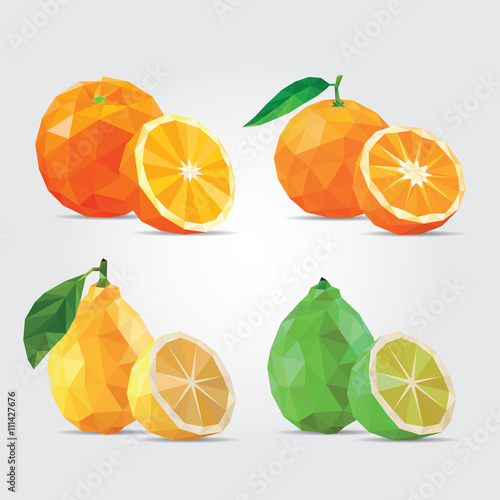 Polygonal Fruits. Citrus Fruits. Orange, Tangerine, Lemon and Lime in Vector