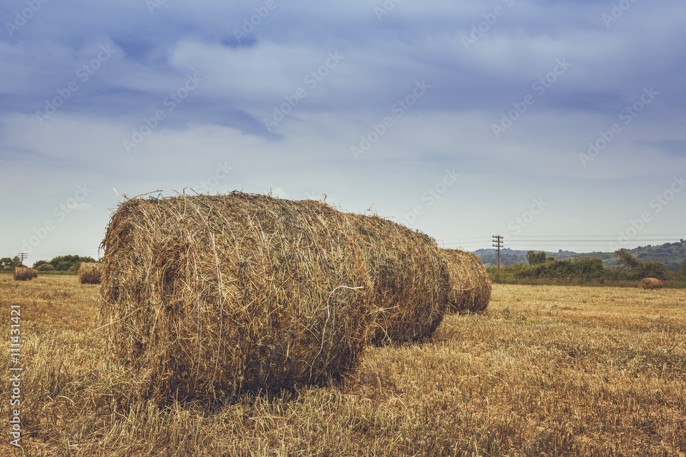 Dry hay and straw bales in the field in Transylvania, Romania.