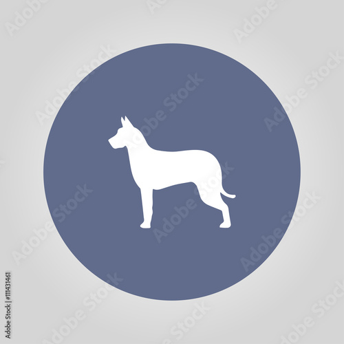 dog icon. Modern design flat style