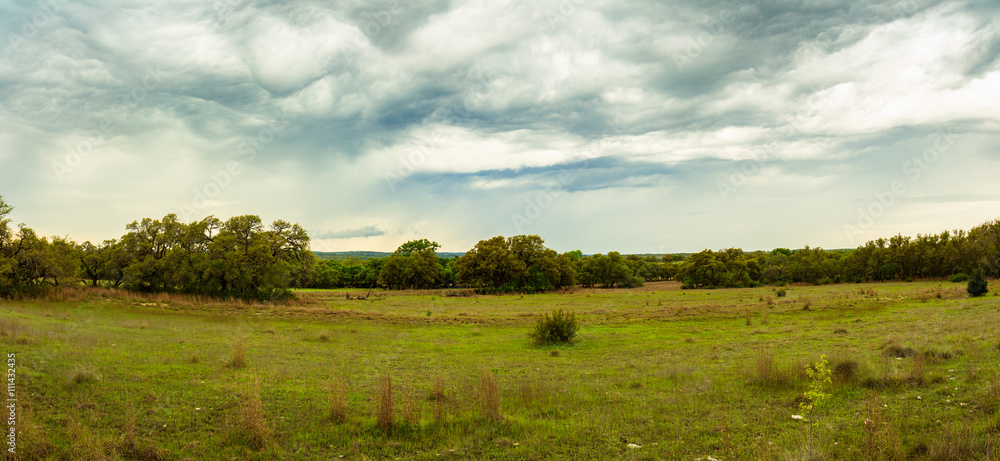Fototapeta premium Texas Hill Country