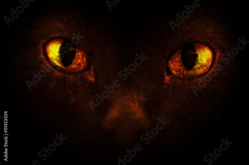 Demonic eyes