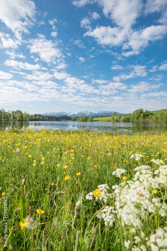 Schönes Allgäu bei Füssen - Blumenwiese mit kleinem See