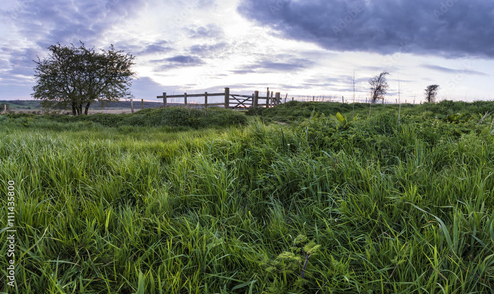 Beautiful English countrysidepanorama landscape over fields at Beautiful English countrysidepanorama landscape over fields at