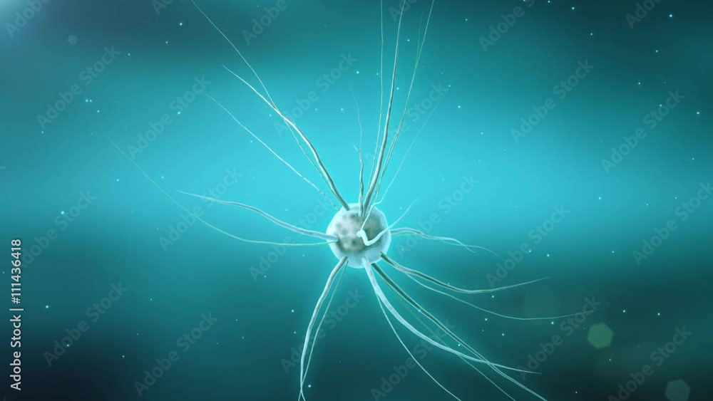 Virus particle Virus particle