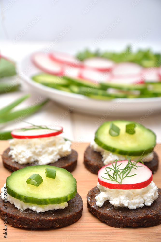 Healthy sandwiches with radish and cottage cheese 