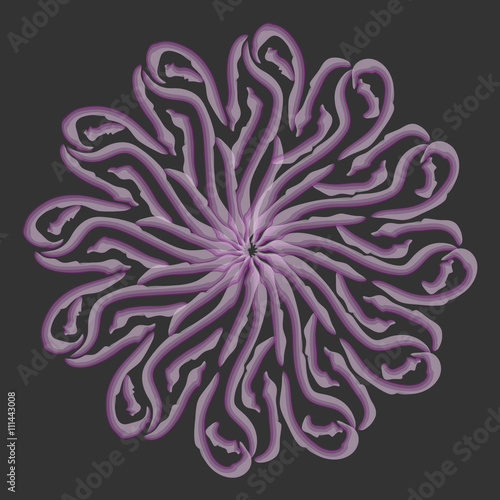 mandala. watercolor. circular pattern. vector illustration.
