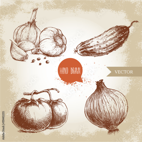 Set of hand drawn vegetables. Tomatoes, onion, cucumber and garlics. Sketch style ecological food illustration.