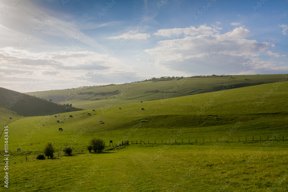 Sussex Countryside