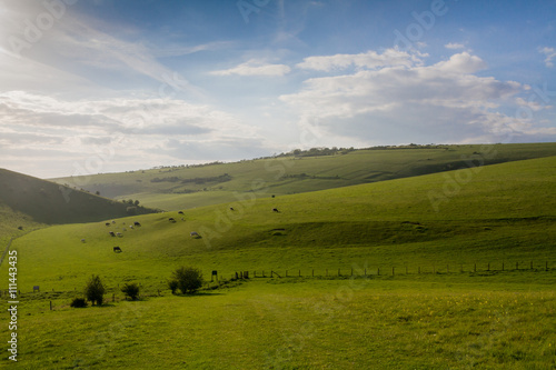 Sussex Countryside © lemanieh