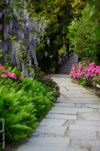 Picturesque Area blooming Japanese garden