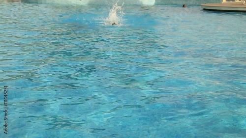 Wallpaper Mural Young boy swimming butterfly stroke style in the blue water pool Torontodigital.ca