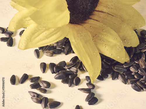 Fotografie sunflower seeds and a bottle