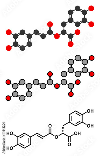 rosmarinic acid herbal antioxidant molecule. 