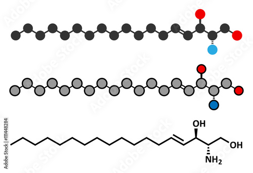 Sphingosine lipid molecule. photo
