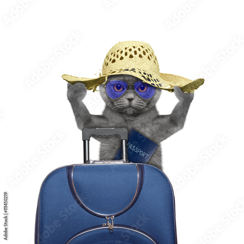 Fototapeta Naklejka Na Ścianę i Meble -  cat is going on a trip to travel with a suitcase