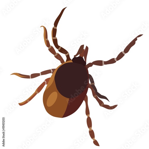 Insect tick, isolated vector