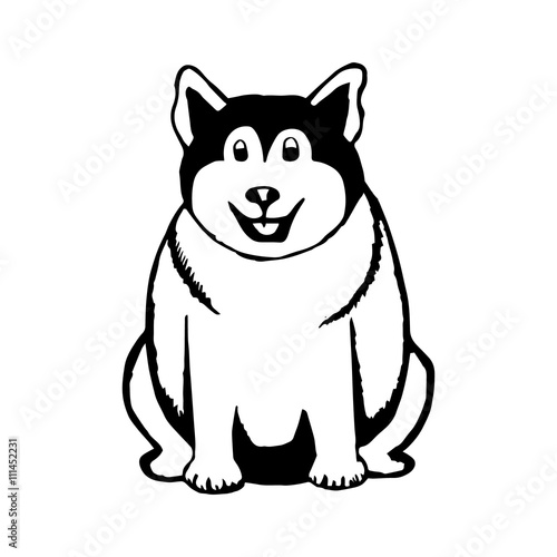 Funny dog (husky)