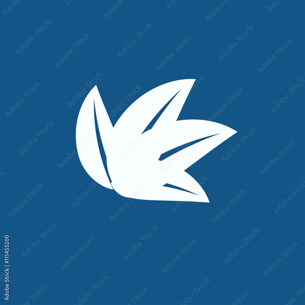 icon leaf icon leaf