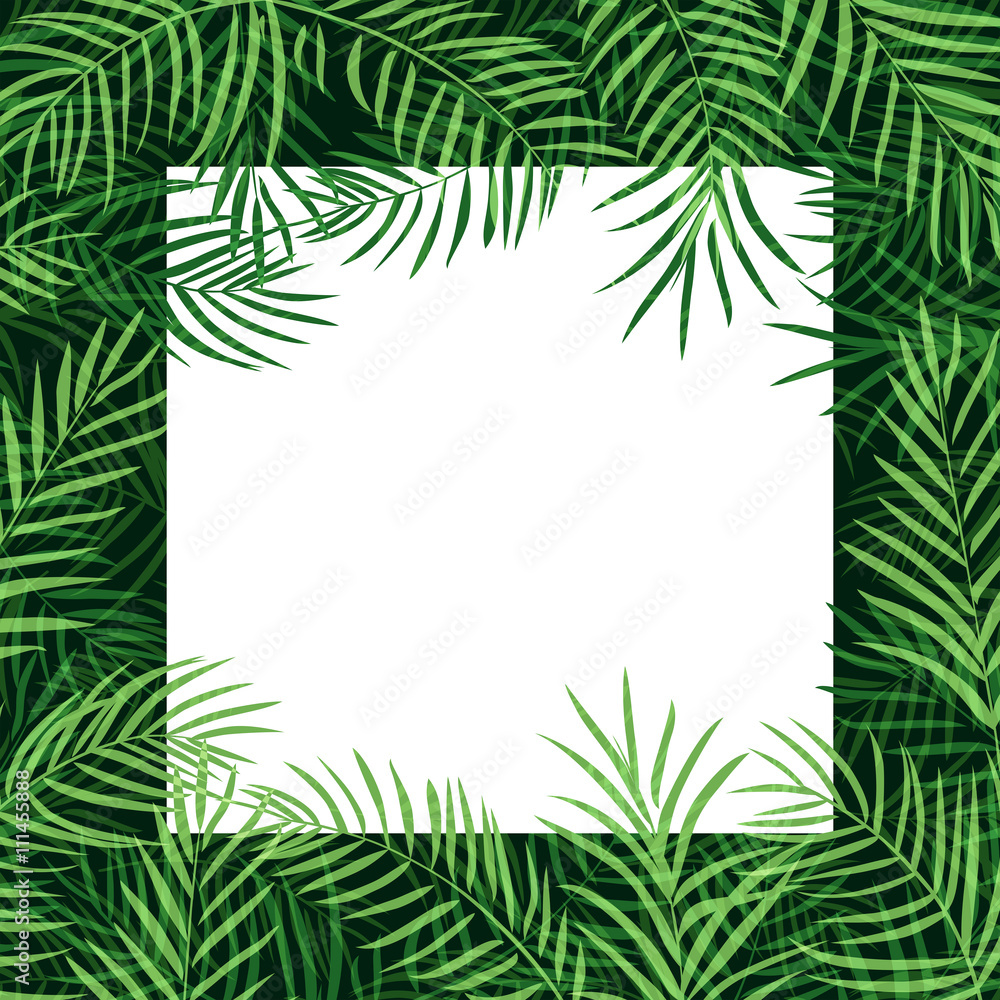 border frame tropical palm leaf