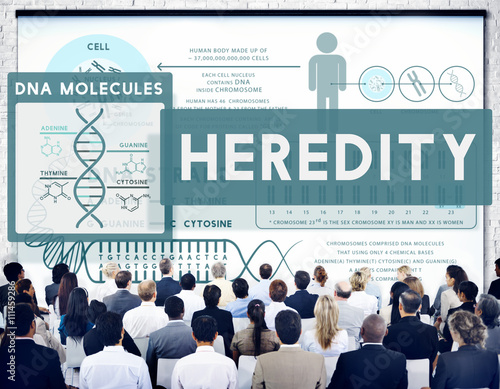 Fotografi Heredity Biology Chromosome Molecular Science Concept